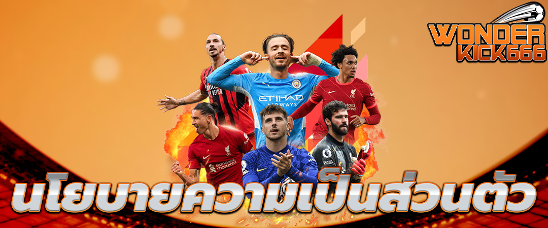 นโยบายความเป็นส่วนตัว